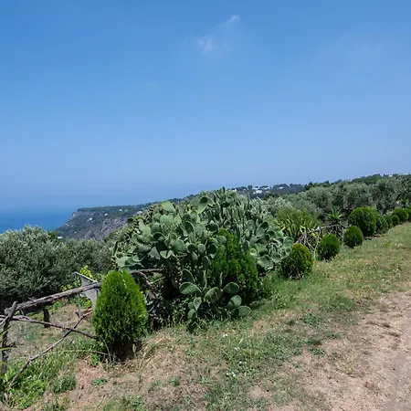 Tra Cielo E Mare - Fantastic Sea View לינה וארוחת בוקר *
